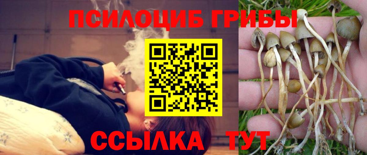 Галлюциногенные грибы Cubensis  Псилоцибиновые грибы Cubensis  Лесозаводск  как найти закладки  Вход с VPN 