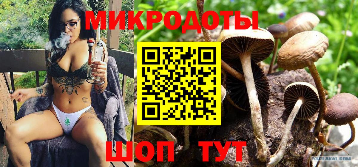 Галлюциногенные грибы прущие грибы Лесозаводск